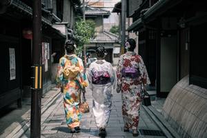 Geishas walk with closed kimonos