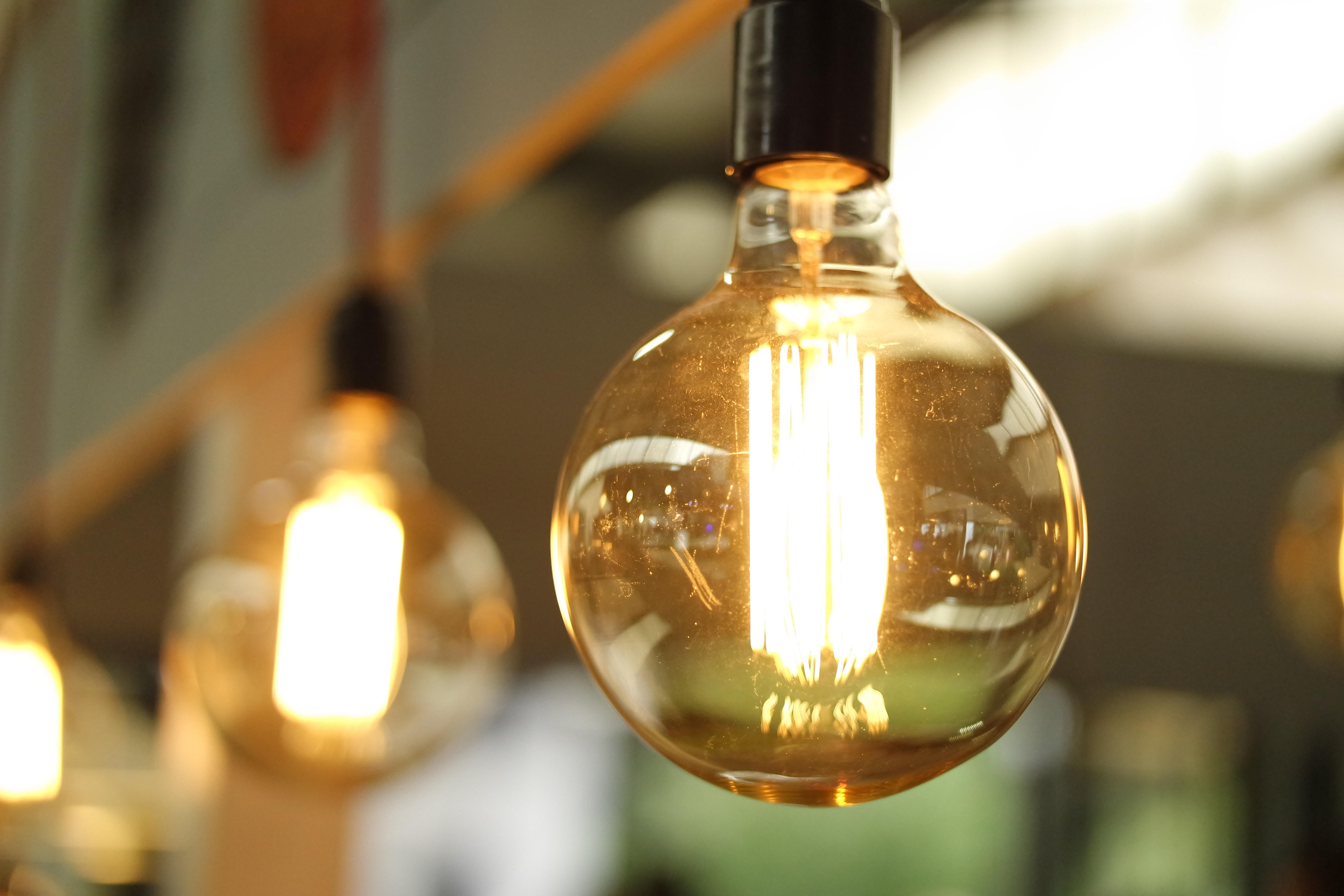 Lightbulbs hanging in building