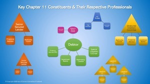 Chart of debtor and corporate restructuring professionals