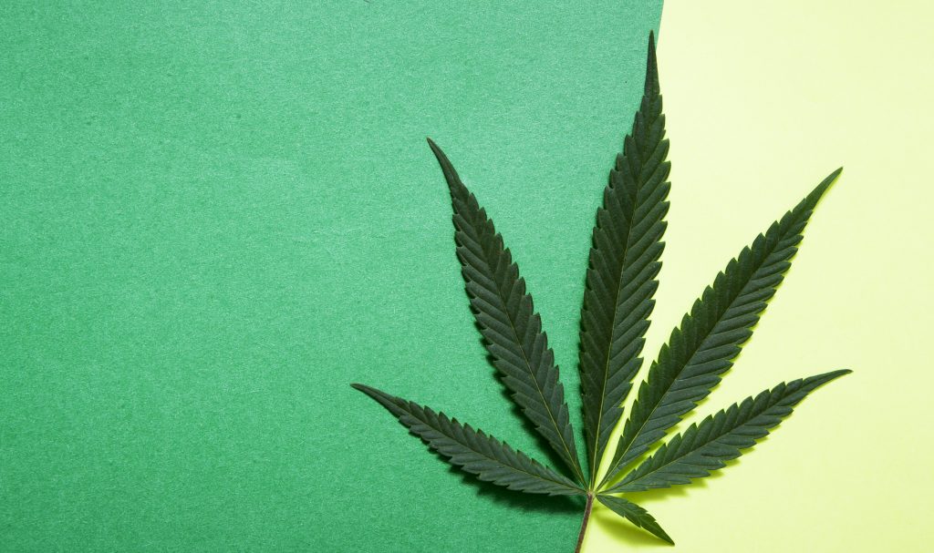 Cannabis Receiverships
