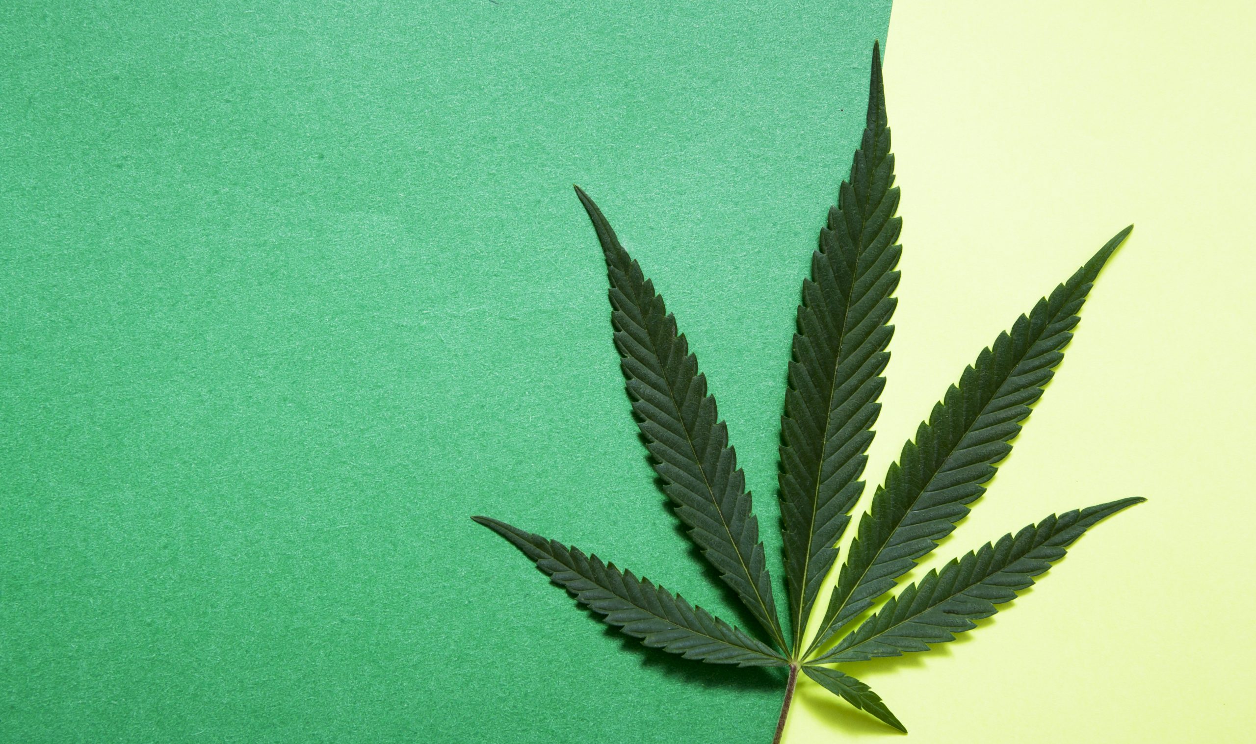 Cannabis Receiverships